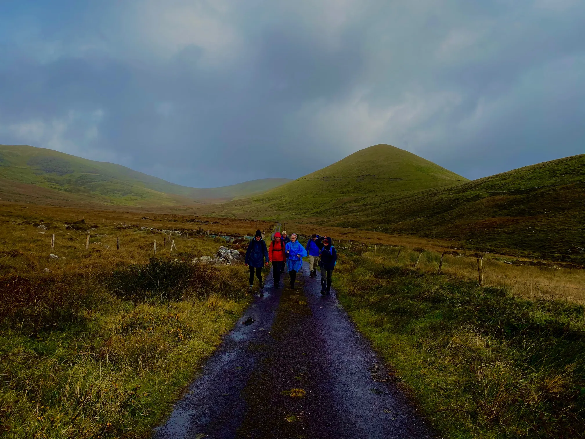 Club hike photo 16