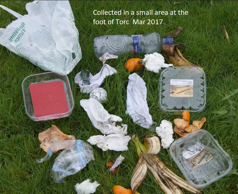 Litter spread on grass: plastic bags, bottles, tissues and fruit peel